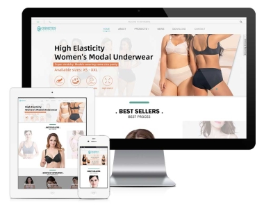 广州内衣服饰公司外贸网站建设